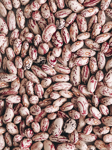 Dry beans as a background texture. Top view. Copy, empty space for text