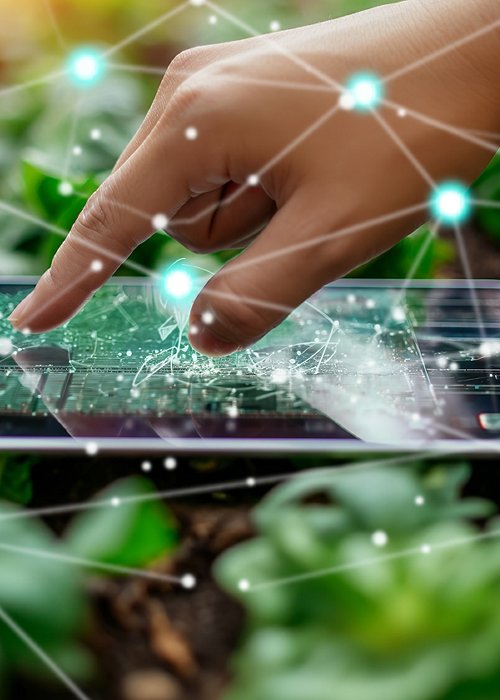 Farmer Analyzing Crop Data on Digital Tablet in Field