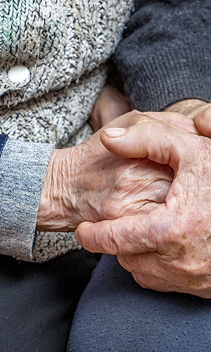 grandfather and grandmother joined hands; the manifestation of love, affection and care in old age_