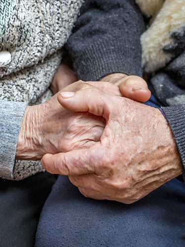 grandfather and grandmother joined hands; the manifestation of love, affection and care in old age_