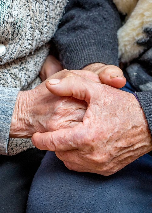 grandfather and grandmother joined hands; the manifestation of love, affection and care in old age_