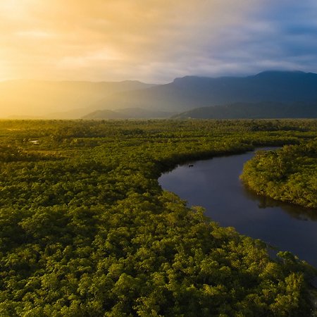 The world’s largest reforestation project