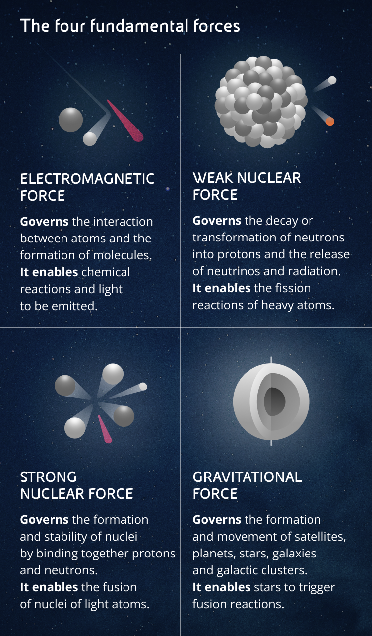 Weak Nuclear Force Examples